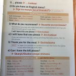 rugby-world-cup-inspection-japanese-phrase-book