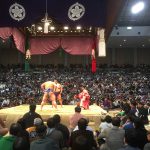 rugby-world-cup-inspection-japan-sumo-bouts