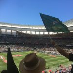 rugby-travel-ireland-cape-town-south-africa-match
