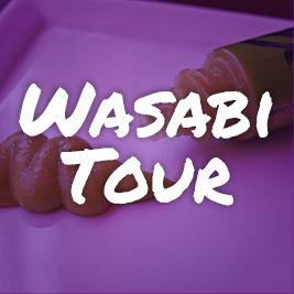 Rugby-World-Cup-Tour-Package-wasabi